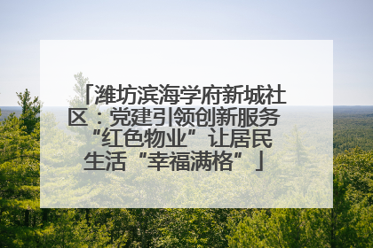 潍坊滨海学府新城社区：党建引领创新服务 “红色物业”让居民生活“幸福满格”