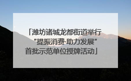 潍坊诸城龙都街道举行“提振消费·助力发展”首批示范单位授牌活动