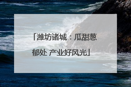 潍坊诸城：瓜甜葱郁处 产业好风光