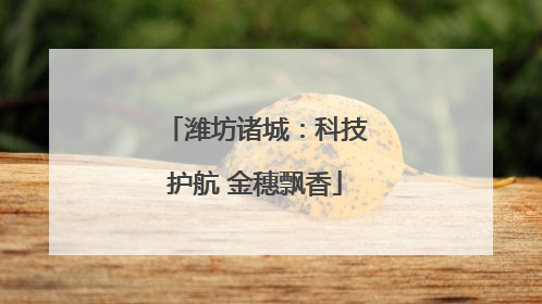 潍坊诸城：科技护航 金穗飘香