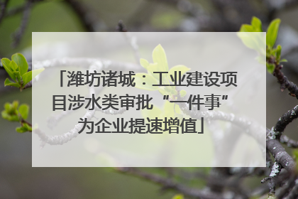 潍坊诸城：工业建设项目涉水类审批“一件事” 为企业提速增值