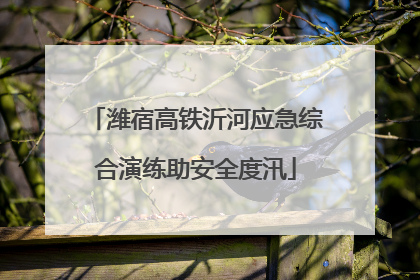 潍宿高铁沂河应急综合演练助安全度汛