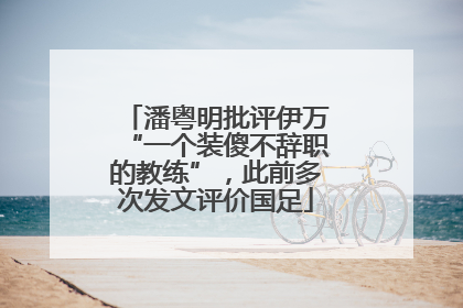 潘粤明批评伊万“一个装傻不辞职的教练”，此前多次发文评价国足