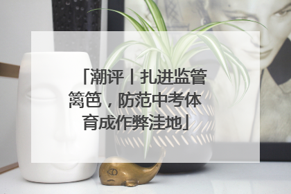 潮评丨扎进监管篱笆，防范中考体育成作弊洼地