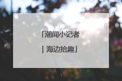 潮闻小记者｜海边拾趣