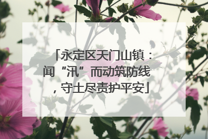 永定区天门山镇：闻“汛”而动筑防线，守土尽责护平安