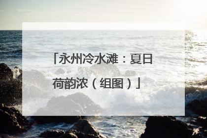 永州冷水滩：夏日荷韵浓（组图）