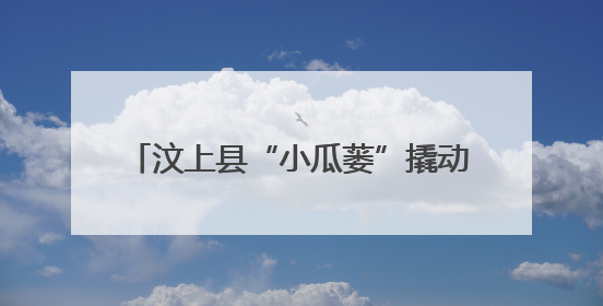 汶上县“小瓜蒌”撬动乡村振兴“大产业”