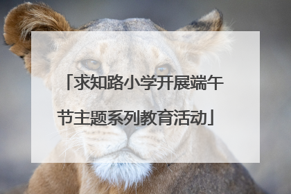 求知路小学开展端午节主题系列教育活动