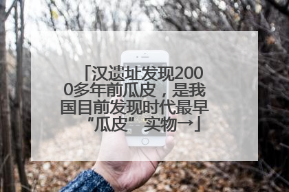 汉遗址发现2000多年前瓜皮，是我国目前发现时代最早“瓜皮”实物→