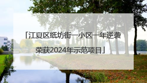 江夏区纸坊街一小区一年逆袭 荣获2024年示范项目