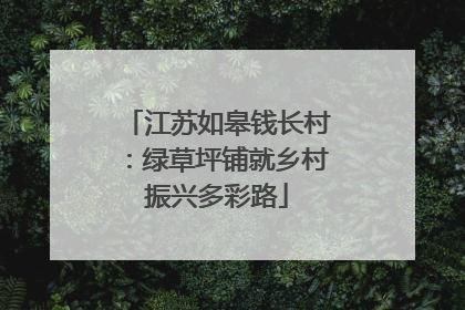 江苏如皋钱长村：绿草坪铺就乡村振兴多彩路