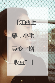 江西上栗：小毛豆变“增收豆”