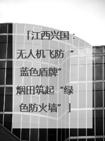 江西兴国：无人机飞防“蓝色盾牌” 烟田筑起“绿色防火墙”