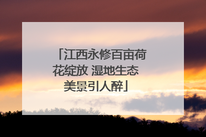 江西永修百亩荷花绽放 湿地生态美景引人醉