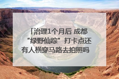 治理1个月后 成都“绿野仙踪”打卡点还有人横穿马路去拍照吗？｜民情瞭望