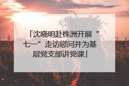 沈晓明赴株洲开展“七一”走访慰问并为基层党支部讲党课