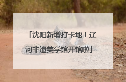 沈阳新增打卡地！辽河非遗美学馆开馆啦