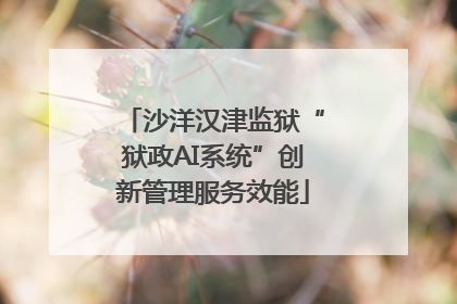 沙洋汉津监狱“狱政AI系统”创新管理服务效能