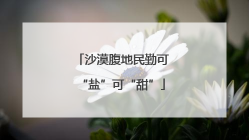 沙漠腹地民勤可“盐”可“甜”