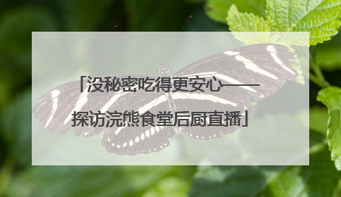 没秘密吃得更安心——探访浣熊食堂后厨直播