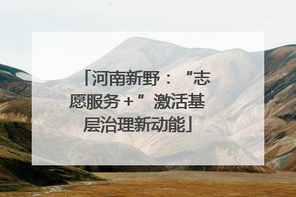 河南新野：“志愿服务＋”激活基层治理新动能