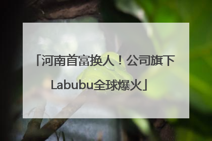 河南首富换人！公司旗下Labubu全球爆火