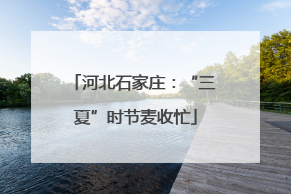 河北石家庄：“三夏”时节麦收忙