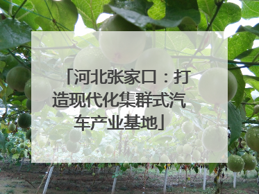 河北张家口：打造现代化集群式汽车产业基地