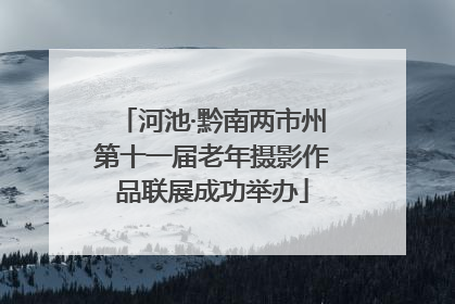 河池·黔南两市州第十一届老年摄影作品联展成功举办