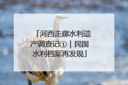 河西走廊水利遗产调查记①｜民国水利档案再发现