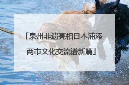 泉州非遗亮相日本浦添 两市文化交流谱新篇