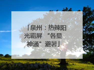 泉州：热辣阳光霸屏 “各显神通”避暑
