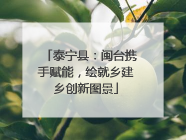 泰宁县：闽台携手赋能，绘就乡建乡创新图景