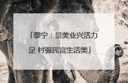 泰宁：景美业兴活力足 村强民富生活美