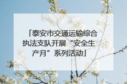 泰安市交通运输综合执法支队开展“安全生产月”系列活动