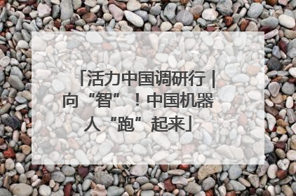 活力中国调研行｜向“智”！中国机器人“跑”起来