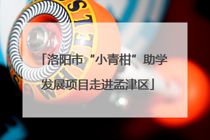 洛阳市“小青柑”助学发展项目走进孟津区