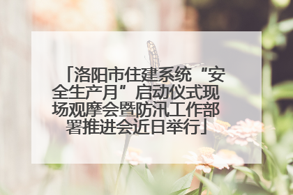 洛阳市住建系统“安全生产月”启动仪式现场观摩会暨防汛工作部署推进会近日举行