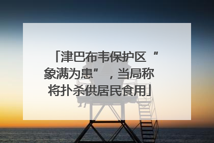 津巴布韦保护区“象满为患”，当局称将扑杀供居民食用