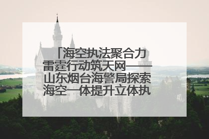 海空执法聚合力 雷霆行动筑天网——山东烟台海警局探索海空一体提升立体执法效能纪实