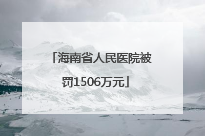 海南省人民医院被罚1506万元
