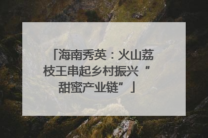 海南秀英：火山荔枝王串起乡村振兴“甜蜜产业链”