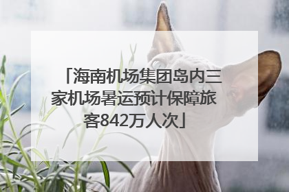 海南机场集团岛内三家机场暑运预计保障旅客842万人次