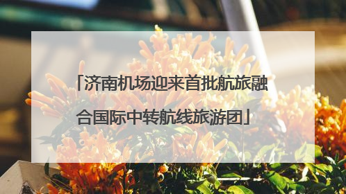 济南机场迎来首批航旅融合国际中转航线旅游团