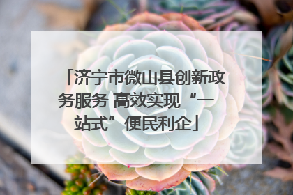 济宁市微山县创新政务服务 高效实现“一站式”便民利企