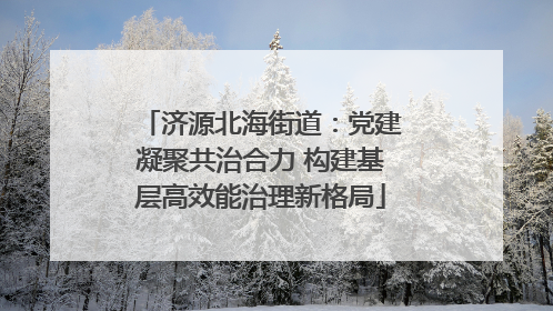 济源北海街道：党建凝聚共治合力 构建基层高效能治理新格局