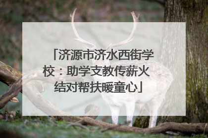 济源市济水西街学校：助学支教传薪火 结对帮扶暖童心