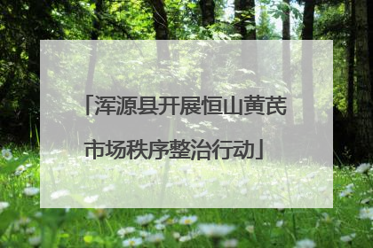 浑源县开展恒山黄芪市场秩序整治行动