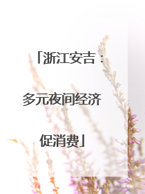 浙江安吉：多元夜间经济促消费